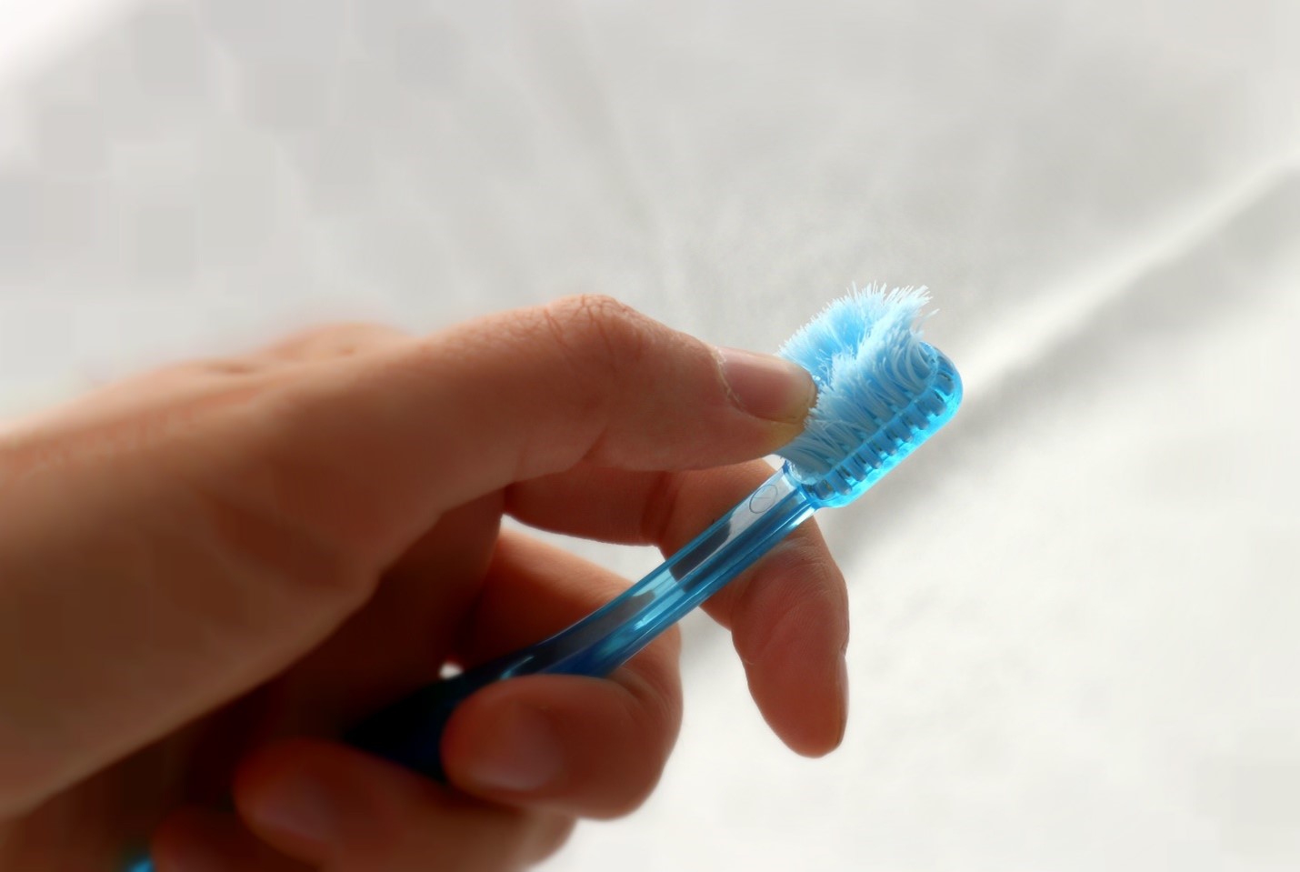Are You Brushing Your Teeth Too Hard? Westgate Dental Care