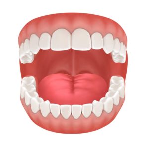 3D illustration of open mouth
